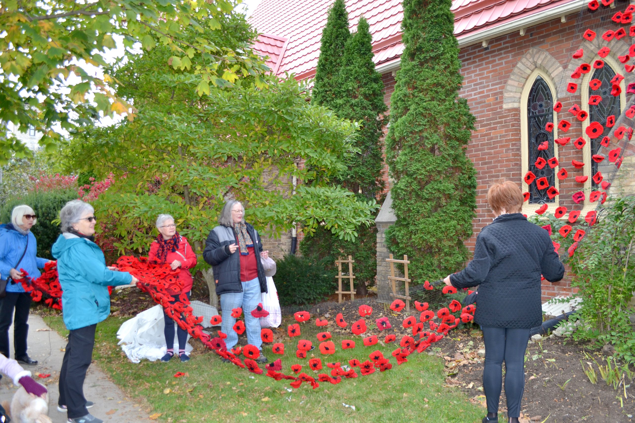 Welcome to the Alabama Poppy Project